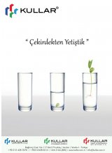 59. Sayı