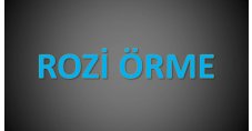 ROZİ ÖRME TEKSTİL SANAYİ İÇ VE DIŞ TİC.LTD.ŞTİ